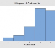 Histogram