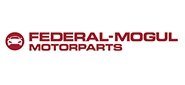 Federal Mogul